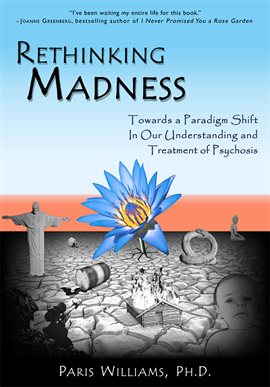 Cover image for Rethinking Madness