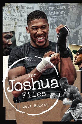 Cover image for The Joshua Files