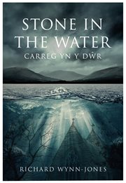 Stone in the Water : Carreg Yn Y DWR cover image