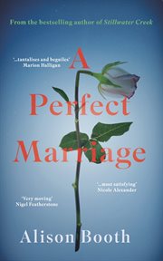 A Perfect Marriage cover image