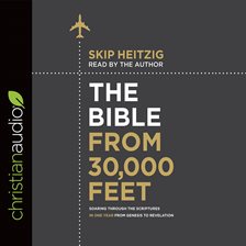 Cover image for The Bible from 30,000 Feet