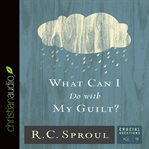 What can I do with my guilt? cover image