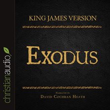 Umschlagbild für The Holy Bible in Audio - King James Version: Exodus