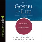 The gospel & pornography cover image