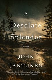 A desolate splendor: a novel cover image