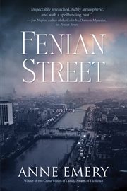 Fenian Street : a mystery cover image