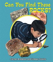 Can you find these rocks? cover image
