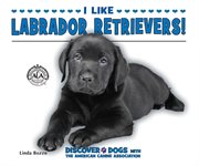 I like labrador retrievers! cover image