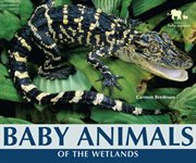 Baby animals of the wetlands cover image