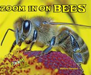Zoom in on bees : Zoom in on Insects! cover image