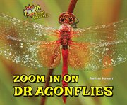 Zoom in on dragonflies : Zoom in on Insects! cover image