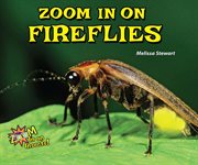 Zoom in on fireflies : Zoom in on Insects! cover image