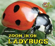 Zoom in on ladybugs cover image
