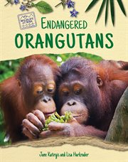 Endangered orangutans cover image