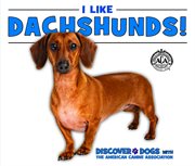 I like dachshunds! cover image