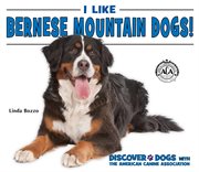 I like Bernese mountain dogs! cover image