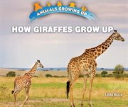How giraffes grow up cover image