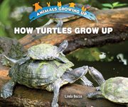 How turtles grow up cover image