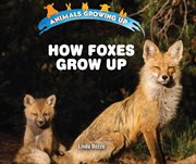 How foxes grow up cover image