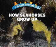 How seahorses grow up cover image