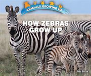 How Zebras Grow Up cover image