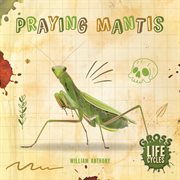 Praying mantis cover image