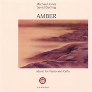 Amber cover image
