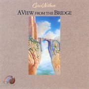 A view from the bridge cover image