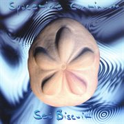 Sea biscuit cover image