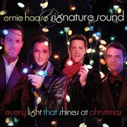 Every light that shines at christmas cover image