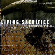 The hammering process cover image