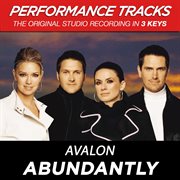 Abundantly (performance tracks) - ep cover image