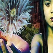 Lifeforms cover image