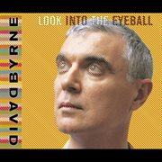 Look into the eyeball cover image