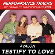 Testify to love (performance tracks) - ep cover image
