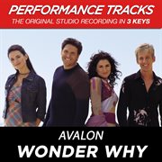 Wonder why (performance tracks) - ep cover image
