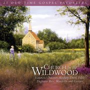 Church in the wildwood cover image
