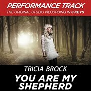 You are my shepherd (performance tracks) - ep cover image