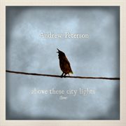 Above these city lights cover image