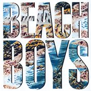 The beach boys cover image