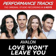 Love won't leave you (performance tracks) - ep cover image