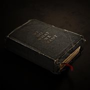 We do what we want cover image