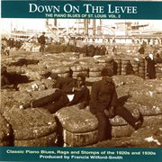 Down on the levee: the piano blues of st. louis vol. 2 cover image