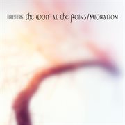 The wolf at the ruins / migration cover image