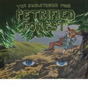 Petrified forest cover image