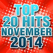 Top 20 hits november 2014 cover image