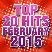 Top 20 hits february 2015 cover image