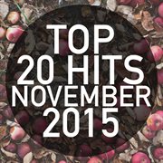Top 20 hits november 2015 cover image