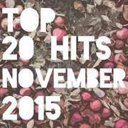 Top 20 hits november 2015 cover image