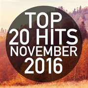 Top 20 hits november 2016 cover image